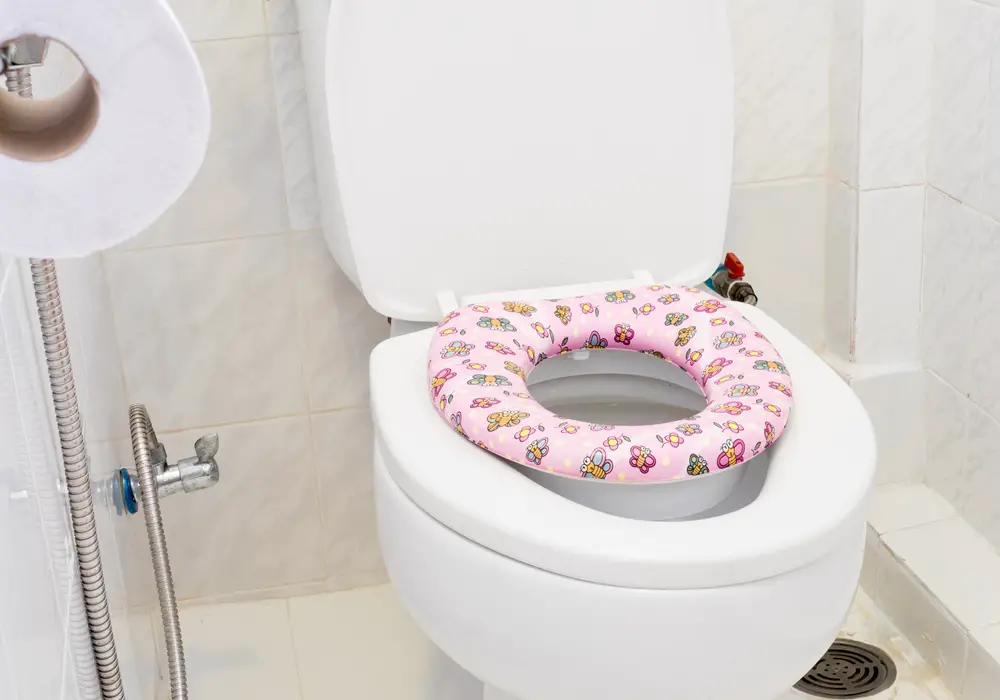 toilet